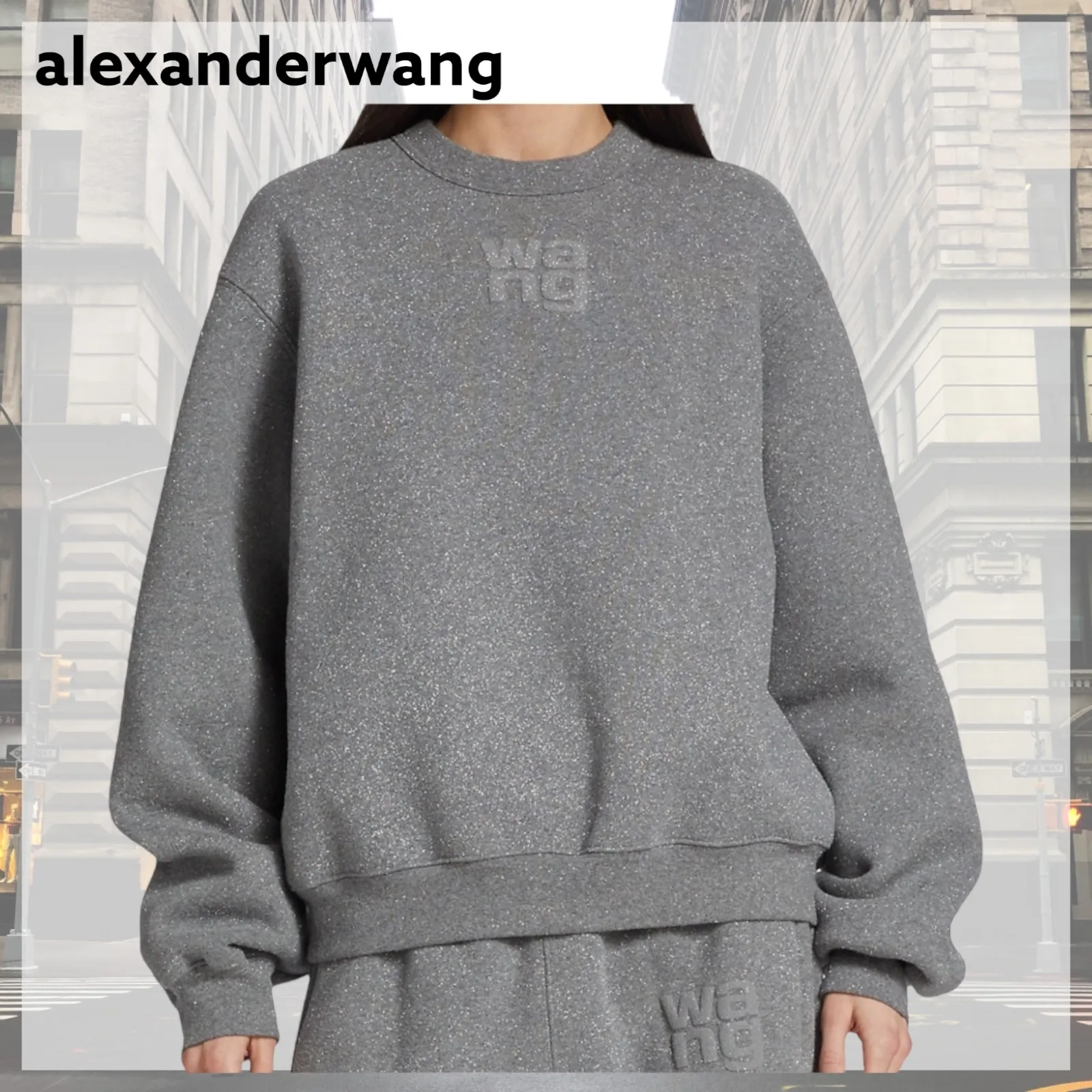 Alexander Wang  |Hoodies & Sweatshirts